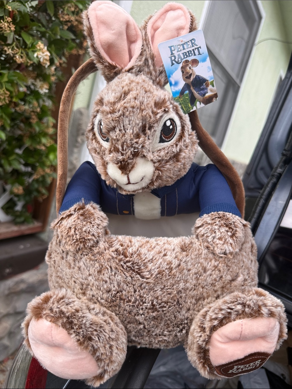 Peter Rabbit Basket - Brown with Navy Jacket